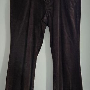 Eddie Bauer Rich Brown Velvet Jeans